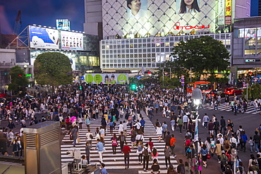 Shibuya crossing, the busiest road crossing in the world, Tokyo, Japan, Asia