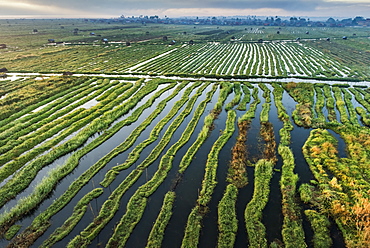 Inle Lake, Shan State, Myanmar (Burma), Asia