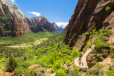 Hikers on the trail to Angels Landing, Zion National Park, Utah, United States of America, North America