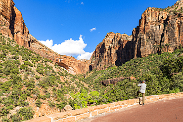 Taking a photo of Canyon overlook, Zion National Park, Utah, United States of America, North America