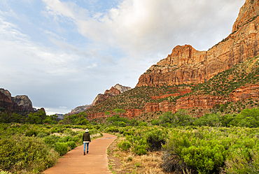 Hiking the Pa'rus trail, Zion National Park, Utah, United States of America, North America