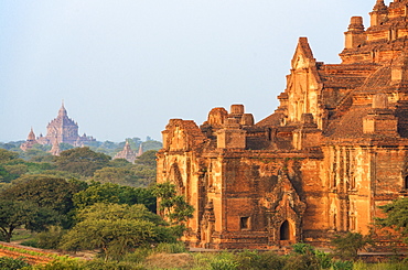 Temples of Bagan (Pagan), Myanmar (Burma), Asia