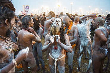 Sadhus after bathing on the holiest day of the decade at the Maha Kumbh Mela, Allahabad, Uttar Pradesh, India, Asia