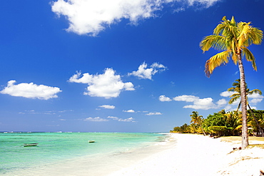 Turquoise sea and white palm fringed beach, Le Morne, Black River, Mauritius, Indian Ocean, Africa