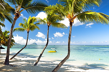 Turquoise sea and white palm fringed beach at Wolmar, Black River, Mauritius, Indian Ocean, Africa