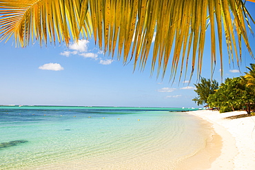 Turquoise sea and white palm fringed beach, Le Morne, Black River, Mauritius, Indian Ocean, Africa