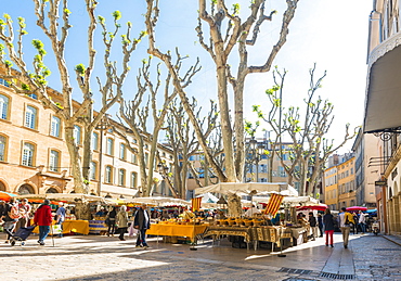 Market in Aix en Provence, Bouches du Rhone, Provence, Provence-Alpes-Cote d'Azur, France, Europe