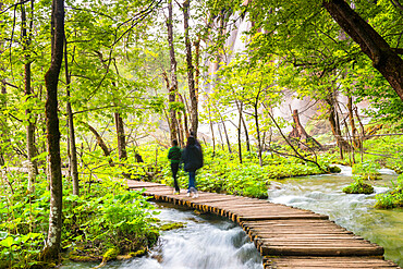 Plitvice Lakes National Park, UNESCO World Heritage Site, Croatia, Europe