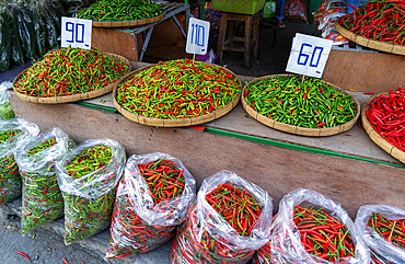 Chillies for sale, Kad Luang fish and vegetable market in Chiang Mai, Thailand, Southeast Asia, Asia
