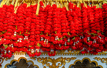 Chinese New Year celebrations in Chinatown, Chiang Mai, Thailand, Southeast Asia, Asia