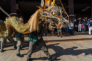 Performance of traditional dragon dance at temples and shrines during the cherry blossom (sakura) season and festivals, Kyoto, Honshu, Japan, Asia