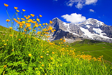 Swiss Alps, Eiger and Moench, Bernese Oberland, Switzerland