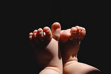 Baby feet. Close up of toes. Studio, gossau zh, switzerland