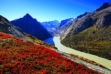 Swiss alps, Bernese Oberland, Switzerland