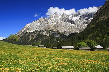 Swiss alps, engelhoerner, view from rosenlaui valley, spring time, rosenlaui valley, rosenlaui tal, bernese , bern, switzerland