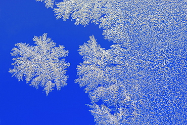 Ice crystal on glass, switzerland