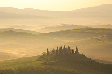 Cypress, italian cypress, cupressus sempervirens, country house, farm house, hill countryside, agricultural landscape, tuscany. italy