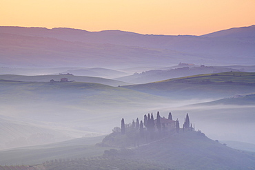 Cypress, italian cypress, cupressus sempervirens, country house, farm house, hill countryside, agricultural landscape, tuscany. italy