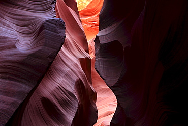 Antelope canyon, sandstone slot canyon formed by wind and water, lower antelope canyon, page, arizona, usa