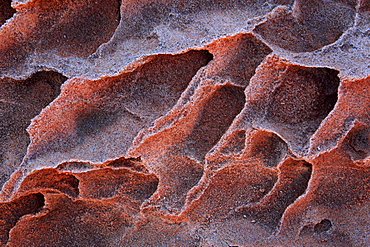 Coyote buttes north, fragile sandstone formed by wind and water, paria wilderness area, arizona, usa