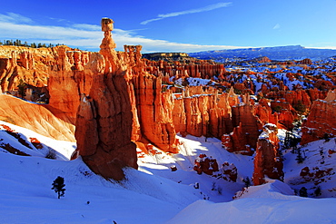 Bryce canyon in winter, view from sunset point, hoodoos at surise, bryce canyon national park, paunsaugunt plateau, utah, usa