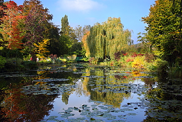 Claude Monet's water garden in October, Giverny, Normandy, France, Europe