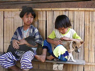 Thailand children with puppies nasiri village of the lahu tribe, chiang mai