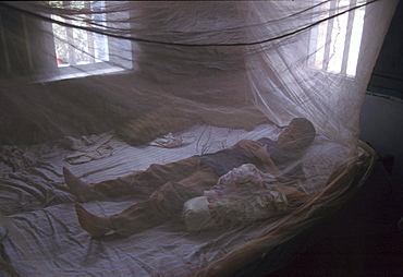 India - health: boy under mosquito net, kerala