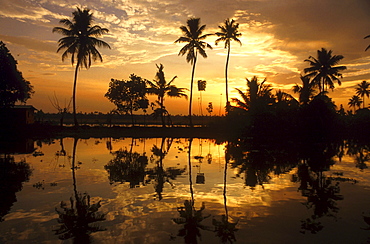 India - landscape: sunset over the inland waterways of kerala