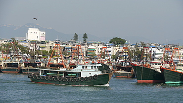 HONG KONG Cheung Chau Island. Fishing boats. photo by Sean Sprague