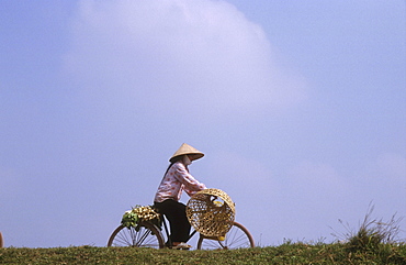 Vietnam - transport: woman riding bicycle, nam dinh