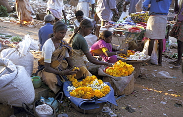 India women selling marigolds in a market in a village mulbaghal, karnataka