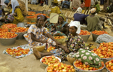 Street market, women selling tomatoes, segou