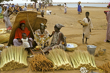 Street market, women selling brooms, segou