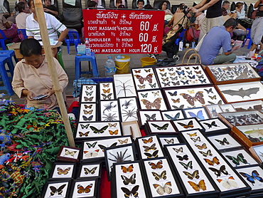 THAILAND Chiang Mai. Stall selling insects and spiders in glass cases. Photo by Sean Sprague