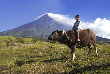 Philippines boy on water buffalo mount mayan volcano legaspi