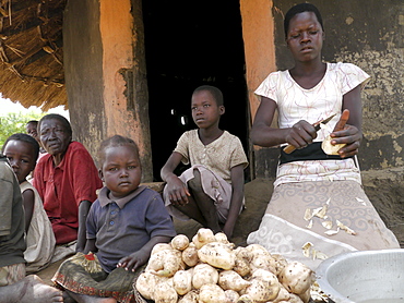 UGANDA The work of Comboni Samaritans, Gulu. Visiting a child headed family. Aromorach Sharon is the oldest girl and looks after her 6 younger siblings and her elederly grandmother. Her parents died of AIDS. Aged 14, she is a pupil of Obinya primary school. Sharon preparing a family meal by peeling sweet potatoes. PHOTO by Sean Sprague