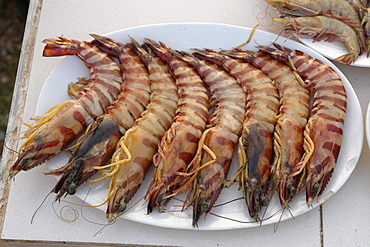 India tiger prawns. Varkala beach resort, kerala.