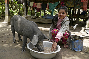 CAMBODIA Woman feeding pig, Ban Bung village, Stung Treng district. 