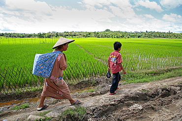 Indonesia sunda, west java