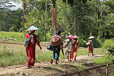 Indonesia ciputat village, sunda, west java