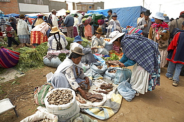 Bolivia. Aymara women selling potatoes and other vegetables at a street market in el alto