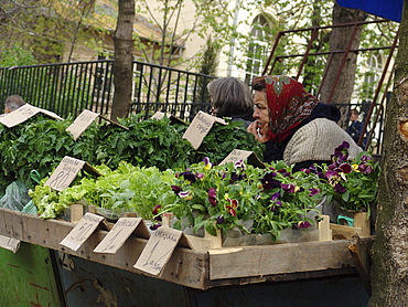 Markets, bulgaria. Sofia market