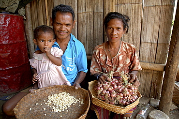 East timor. Husband and wife with maize seeds and onions which they will plant next year, oecussi-ambeno