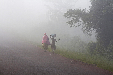 Uganda walking in the mist of early morning, kayunga district