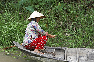 Vietnam scene in vinh long: woman paddling boat on backwaters