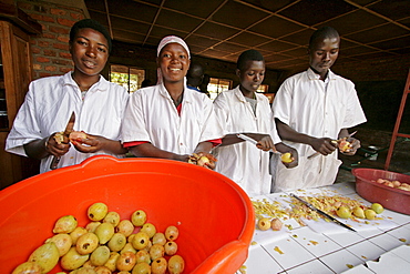 Burundi agakura, a youth agricultural project in gitera. Jam making. Students peeling guavas. From left to right: minani revata (18), kabura seraphine (20), bakundukize odette (22), nkurunziza desire (24)