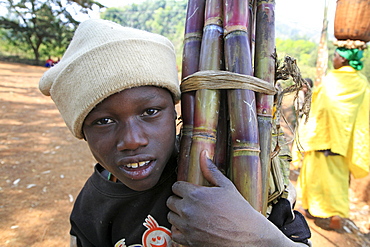 Burundi boy carrying sugar cane, gitera.