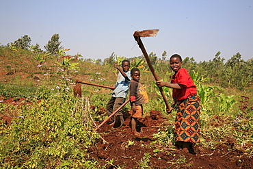 Burundi farmers of gitega.