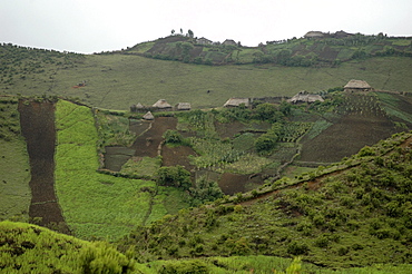 Agricultural landscape, ethiopia. Wenchi lake and extinct volcanic crater, ambo. Very steep hillside cultivated without use of terraces